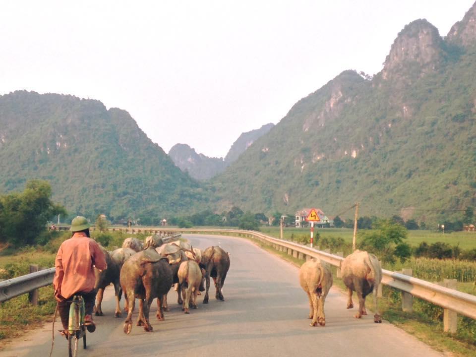 Phong Nha Midtown Hotel Cu Lac Eksteriør bilde